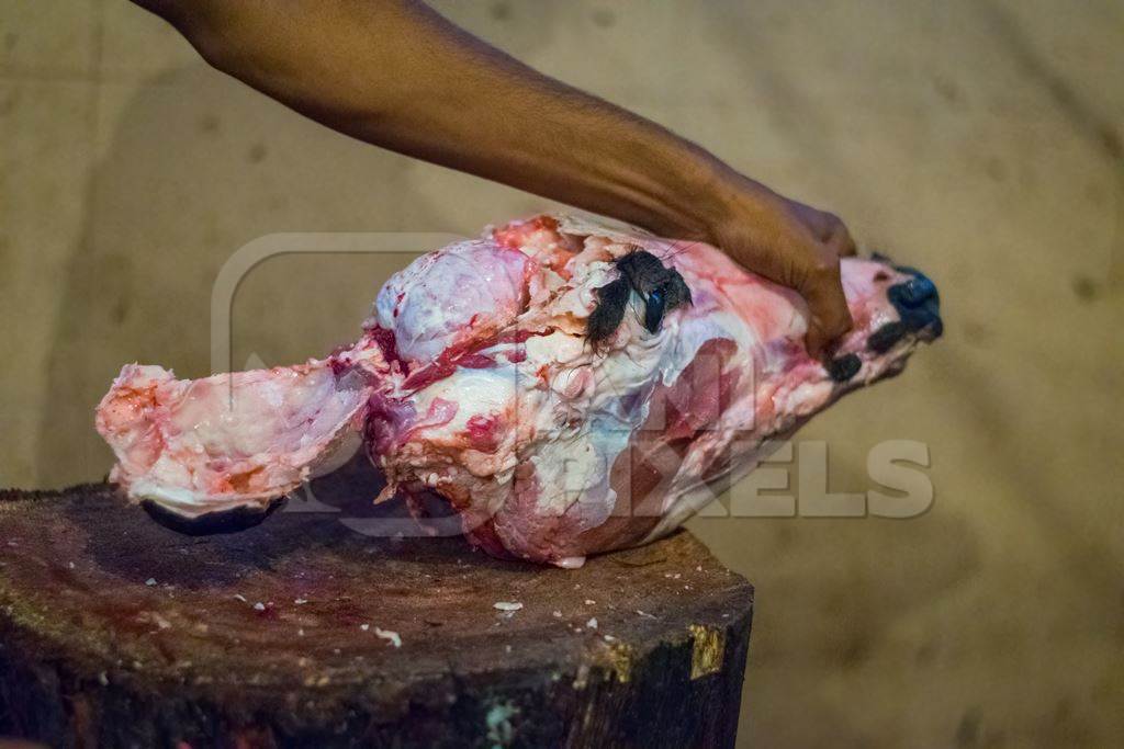 Butcher cutting head of buffalo with a knife in Crawford meat market