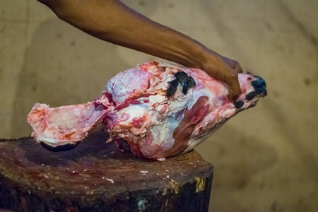 Butcher cutting head of buffalo with a knife in Crawford meat market