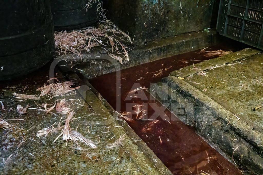 Dirty water with blood in a gutter at the chicken meat market inside New Market, Kolkata, India, 2022