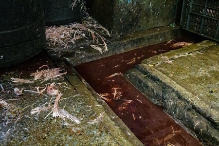 Dirty water with blood in a gutter at the chicken meat market inside New Market, Kolkata, India, 2022