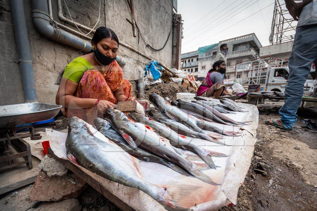 Roadside Indian fish stall or market with woman descaling fish in Pune, India, 2021