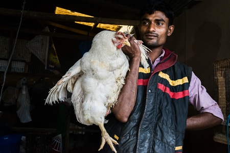 Man holding up large white chicken for sale at a chicken market