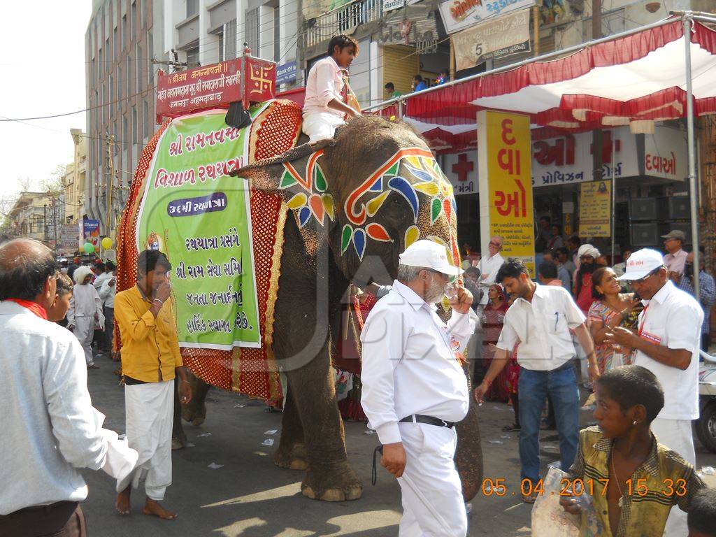 Elephant paraded at Rath Yatra