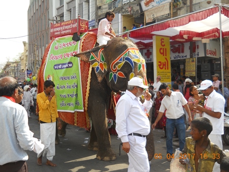 Elephant paraded at Rath Yatra