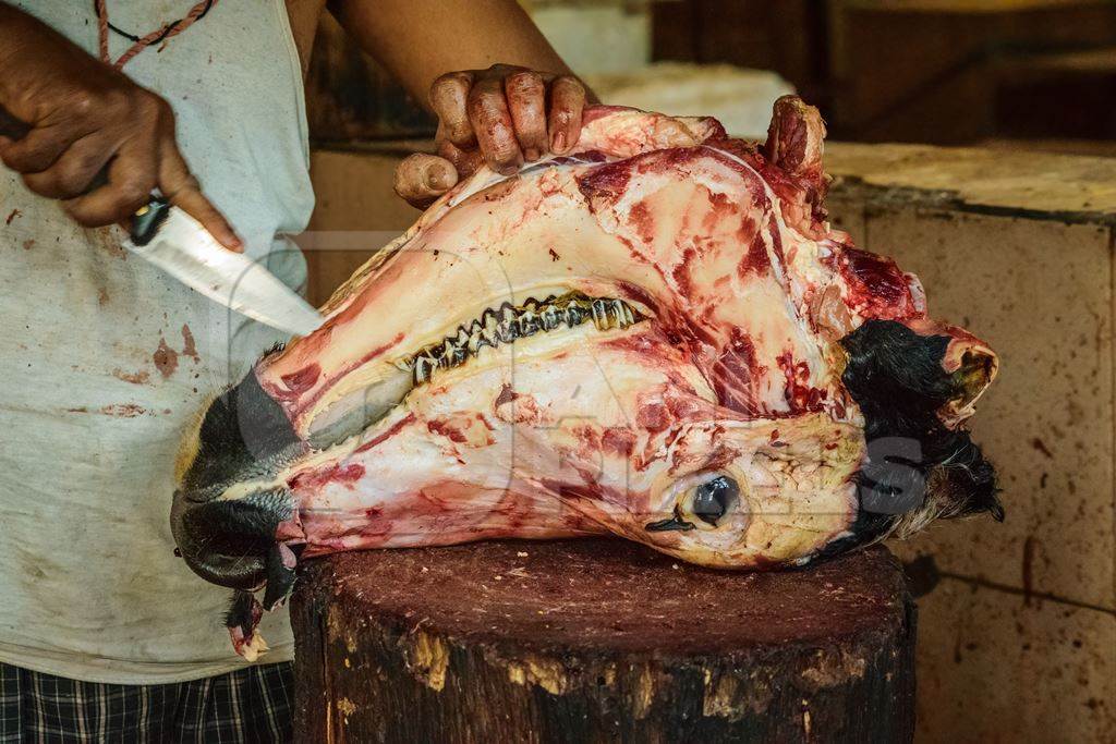 Butcher cutting head of buffalo with a knife in Crawford meat market