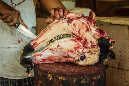 Butcher cutting head of buffalo with a knife in Crawford meat market