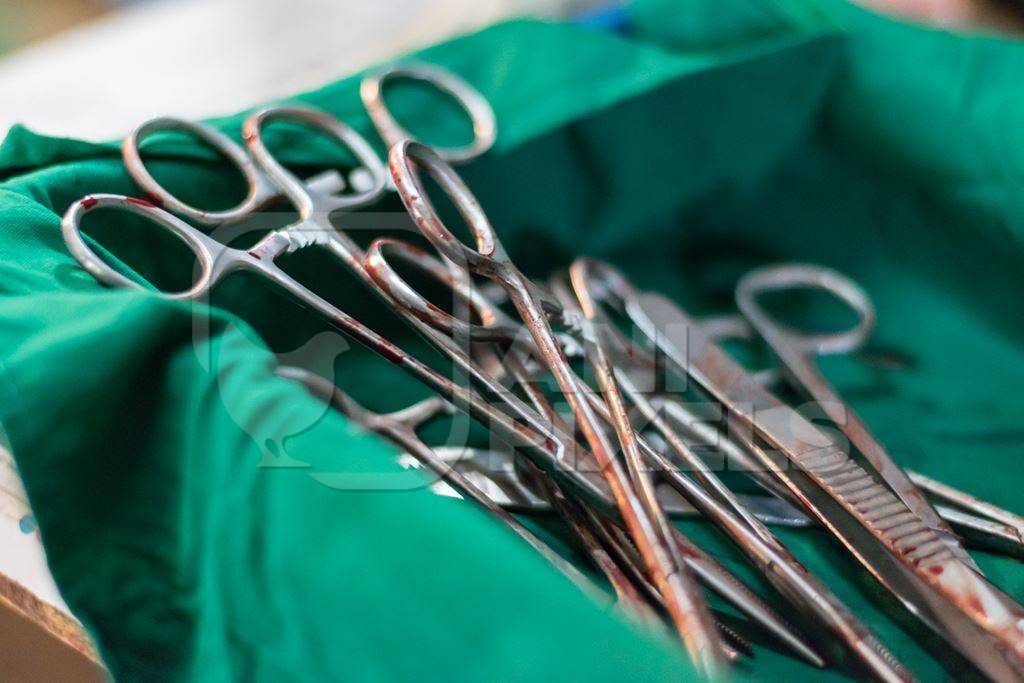 Tray of surgical instruments for street dog sterilisation surgery operation