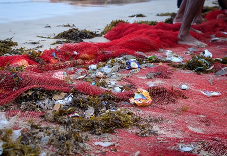 Indian fishing nets with crabs, small fish and plastic pollution trapped in net, on beach in Maharashtra, India, 2022