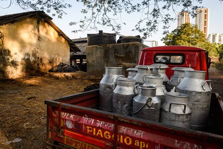 Truck containing milk cans at an urban dairy farm or tabela, Aarey milk colony, Mumbai, India, 2023