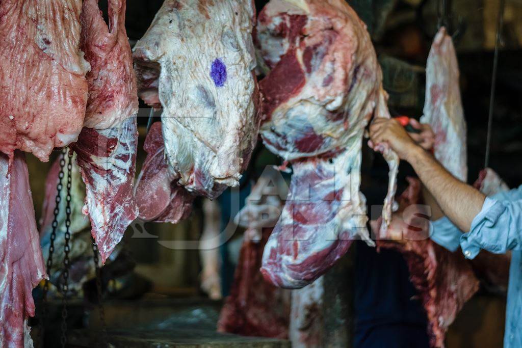 Pieces of meat hanging up from hooks at Crawford meat market in Mumbai