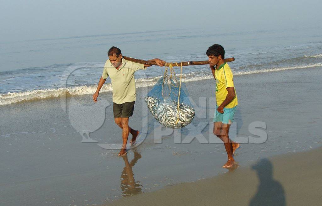 Fishermen carrying fish along the beach