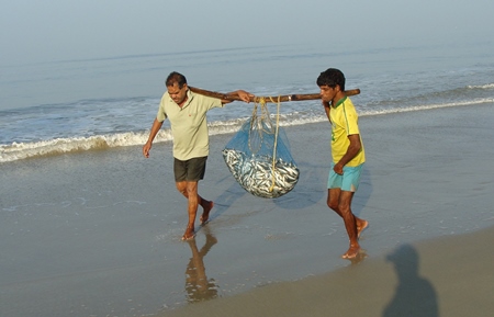 Fishermen carrying fish along the beach