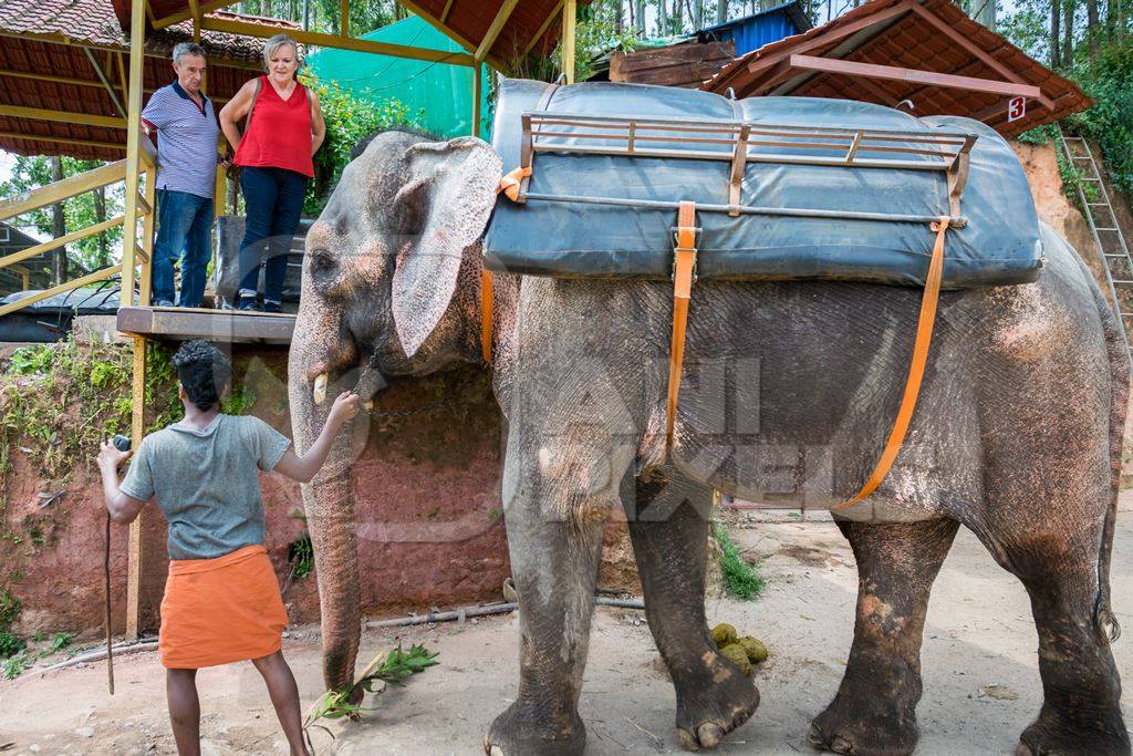 Tourists about to mount an elephant used for tourist rides in the hills of Munnar in Kerala