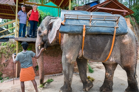 Tourists about to mount an elephant used for tourist rides in the hills of Munnar in Kerala