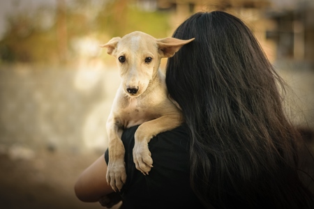 Volunteer animal rescuer girl with long brown hair holding a pale brown street puppy in her arms