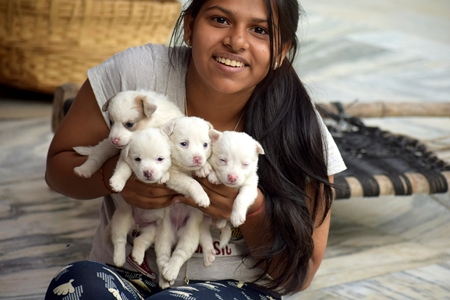 Girl holding litter of cute small white puppies