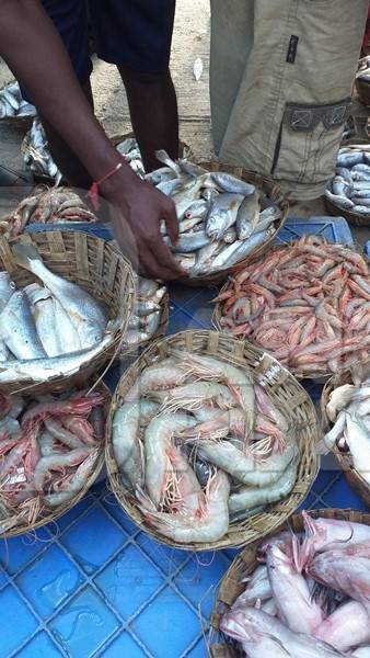 Photo of baskets of prawns, fish and sea creatures on sale at a fish market, India