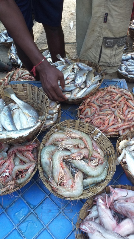 Photo of baskets of prawns, fish and sea creatures on sale at a fish market, India