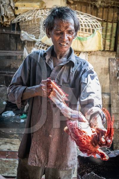 Man removing skin and feathers from a dead chicken at a chicken shop