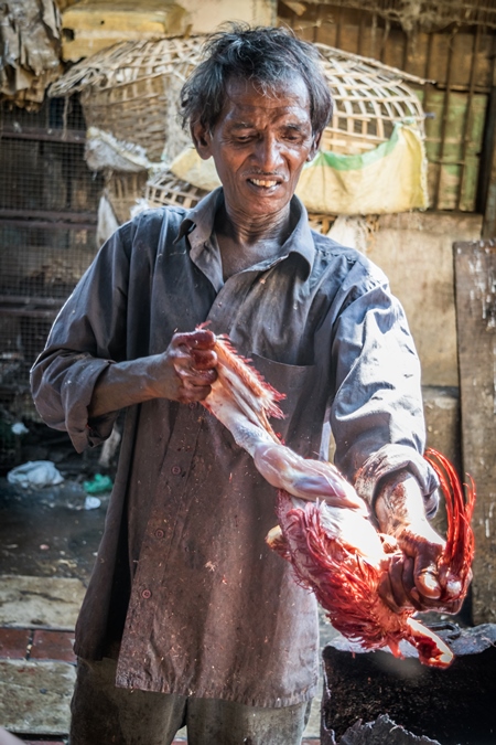 Man removing skin and feathers from a dead chicken at a chicken shop