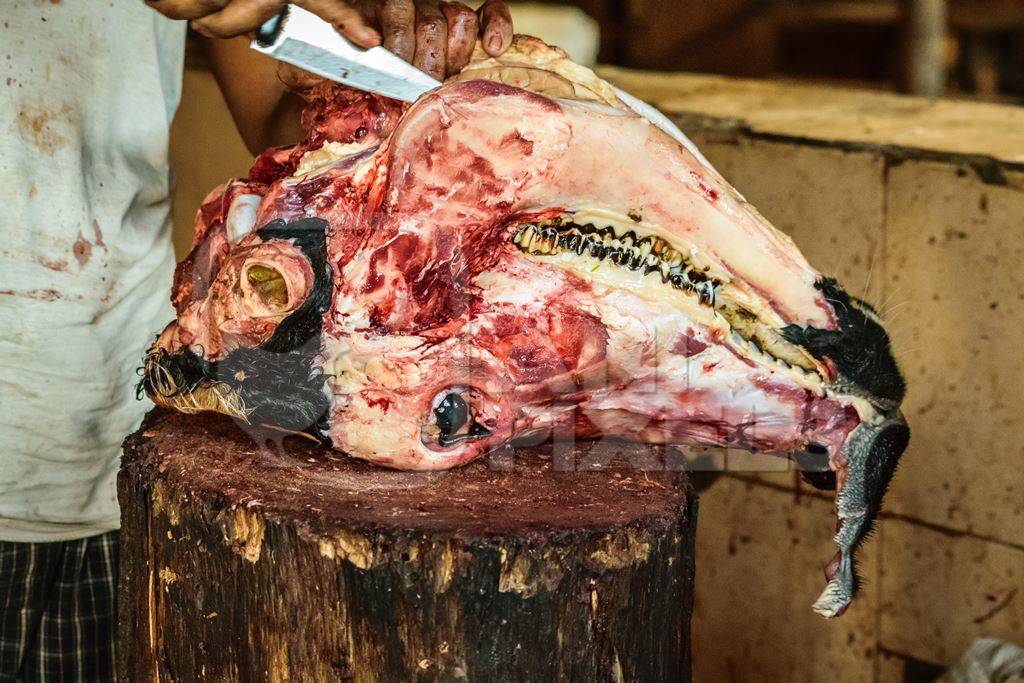 Butcher cutting head of buffalo with a knife in Crawford meat market