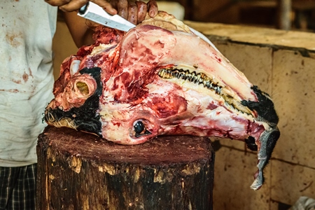 Butcher cutting head of buffalo with a knife in Crawford meat market