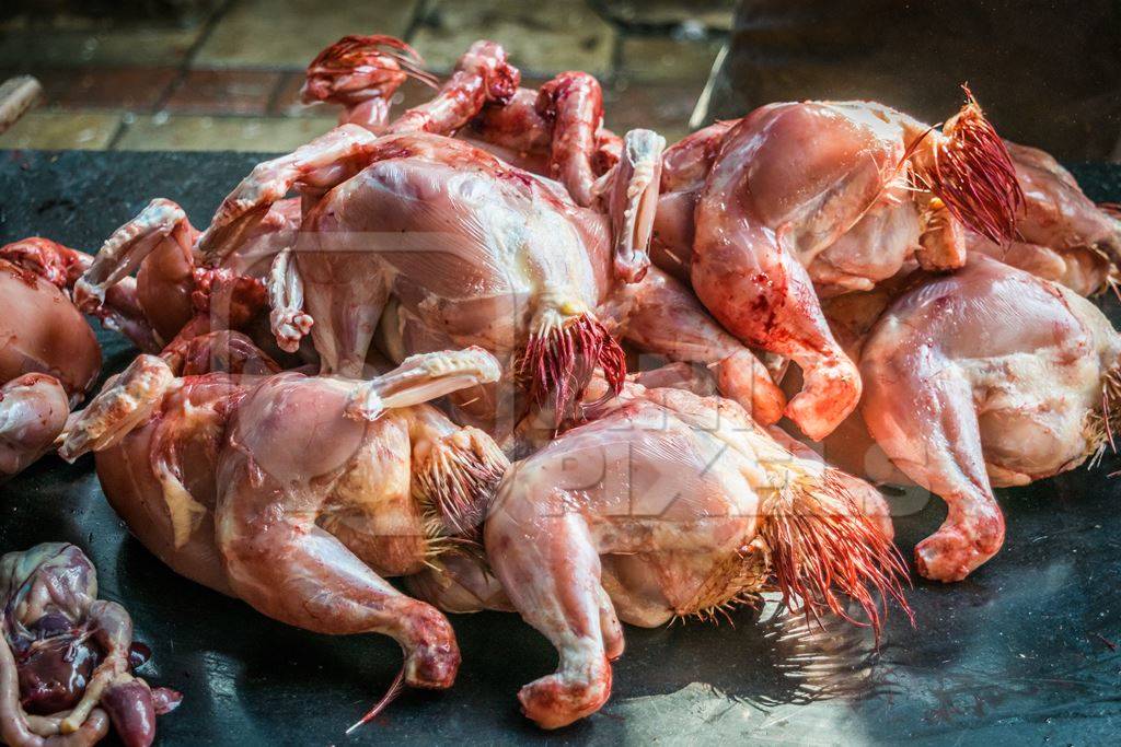 Pile of dead chickens at a chicken meat shop at Crawford meat market