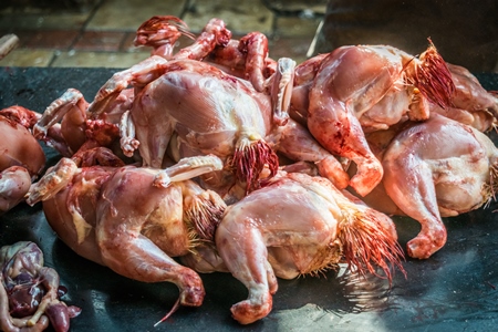 Pile of dead chickens at a chicken meat shop at Crawford meat market