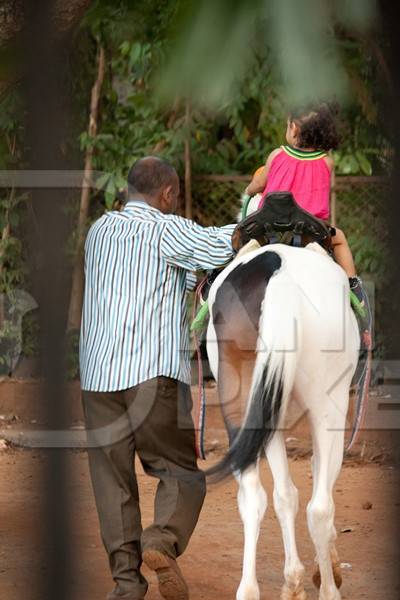 Child riding horse or pony