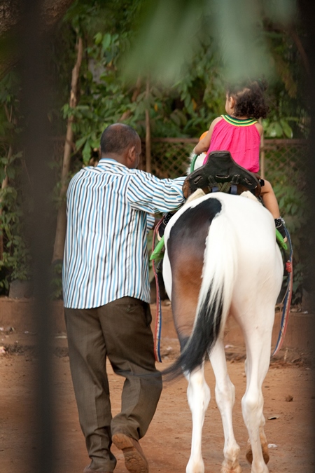 Child riding horse or pony
