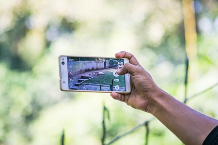 Visitor taking photo of white tiger with mobile phone in Sanjay Gandhi Jaivik Udyan zoo