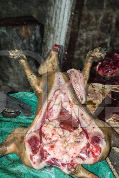 Dead dogs being cut up for meat at a dog market in Kohima in Nagaland, India, 2018