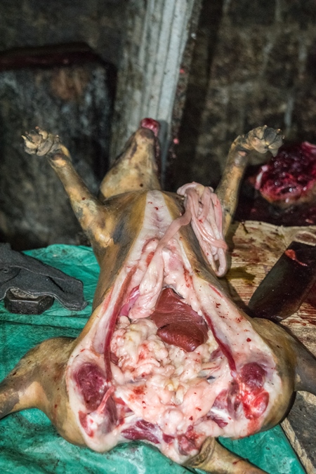 Dead dogs being cut up for meat at a dog market in Kohima in Nagaland, India, 2018