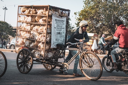 Man pushing a tricycle chicken cart with Indian broiler chickens in cages at Ghazipur murga mandi, Ghazipur, Delhi, India, 2022