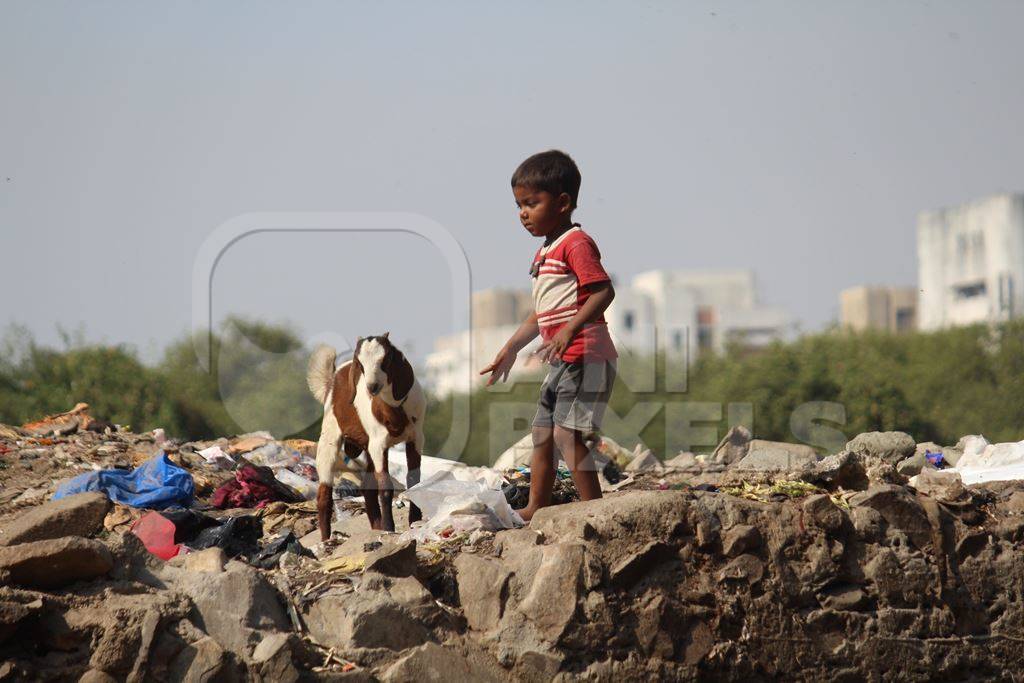 Boy in slum with goat