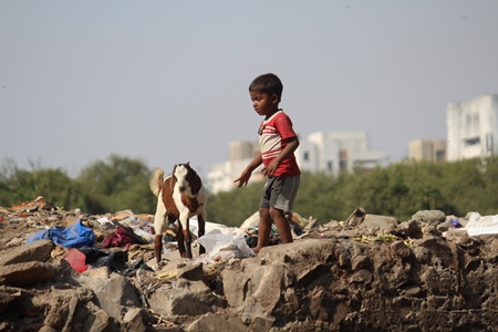 Boy in slum with goat