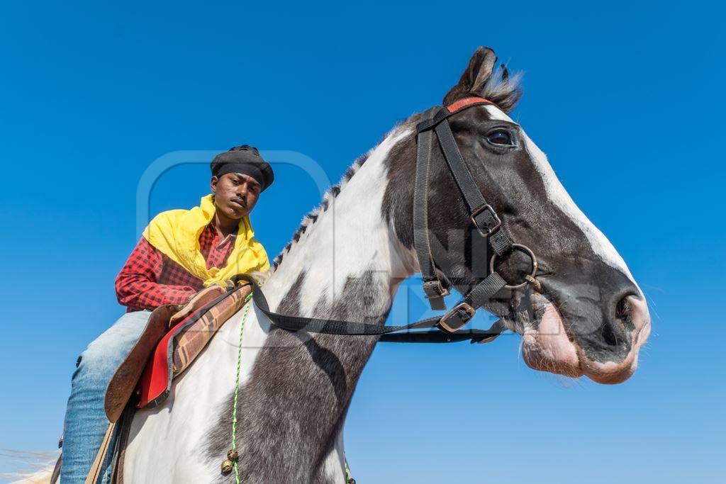 Man riding black and white horse in bridle and saddle used for tourist joy rides with blue sky background