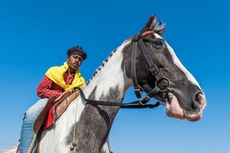 Man riding black and white horse in bridle and saddle used for tourist joy rides with blue sky background