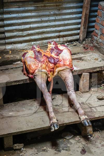Indian cow or beef legs  outside beef stall or shop at a meat market, Kohima, India, 2018