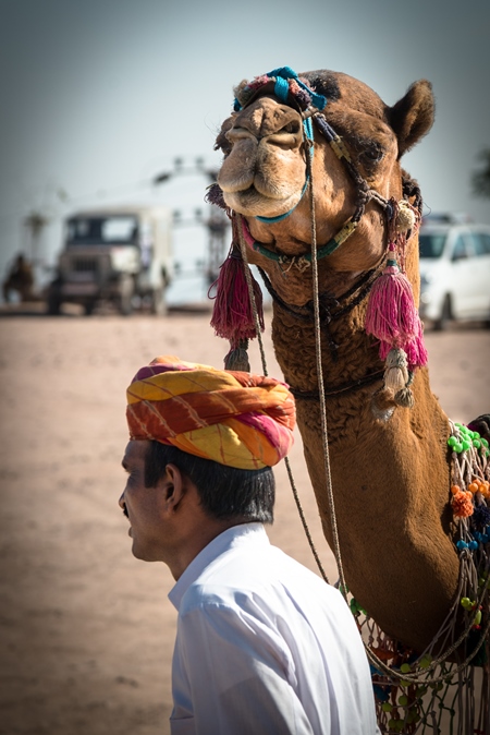 Man leading camel in desert