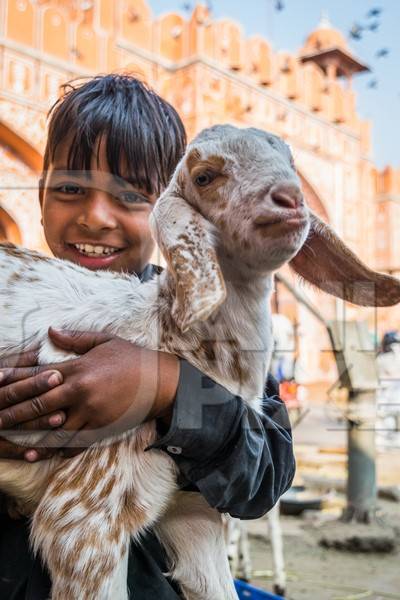 Boy holding small cute baby goat in the city of Jaipur with orange background