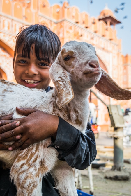 Boy holding small cute baby goat in the city of Jaipur with orange background