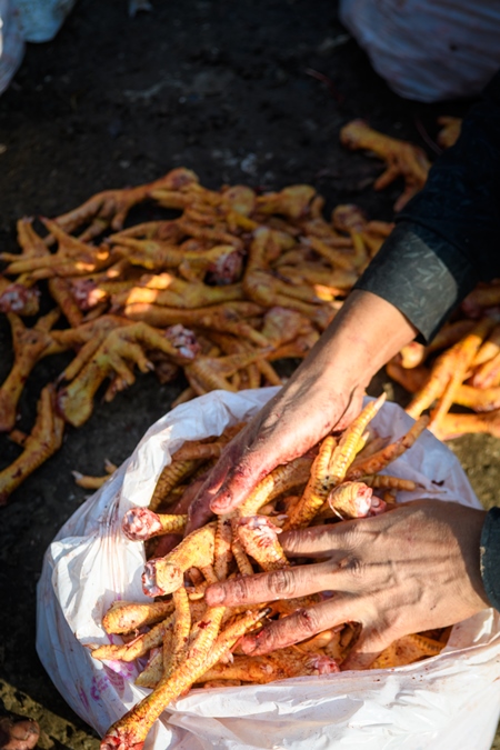 Plastic bags of legs of Indian broiler chickens on sale at Ghazipur murga mandi, Ghazipur, Delhi, India, 2022